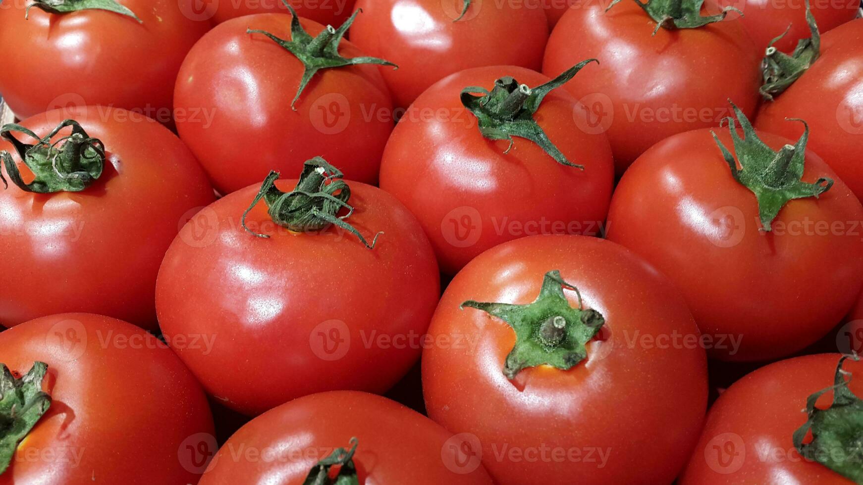 Red tomatoes. Harvest of ripe tomatoes. Tomato counter photo