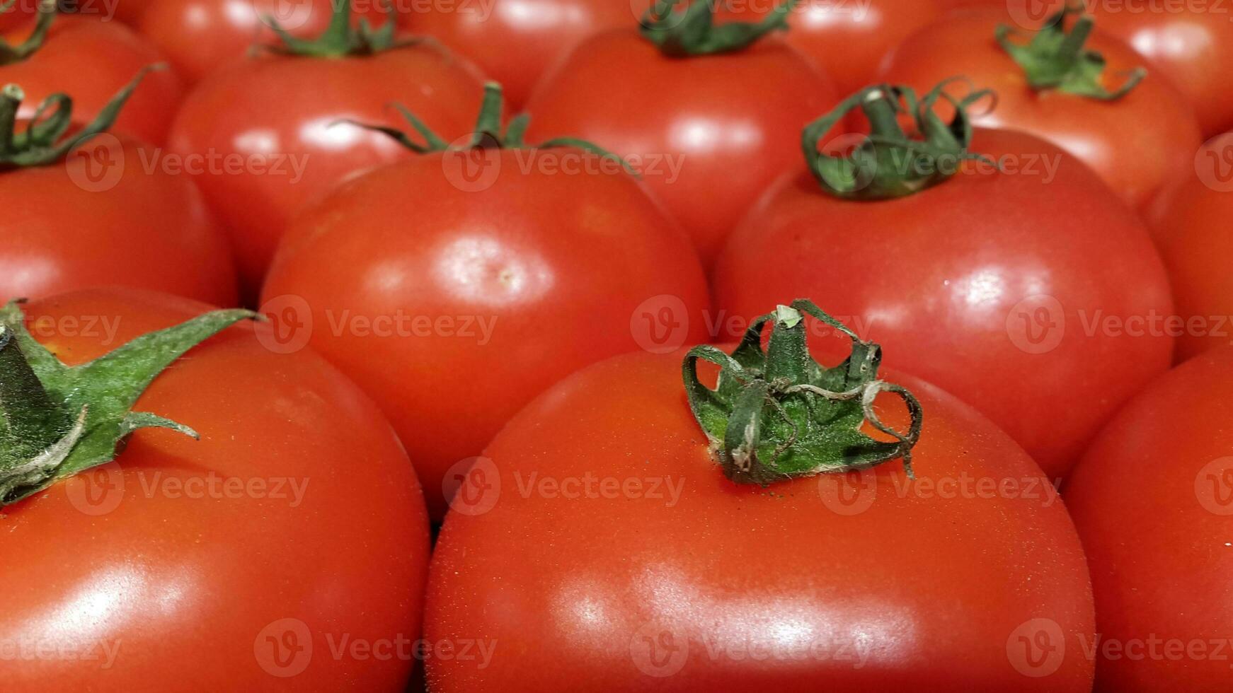 Red tomatoes. Harvest of ripe tomatoes. Tomato counter photo