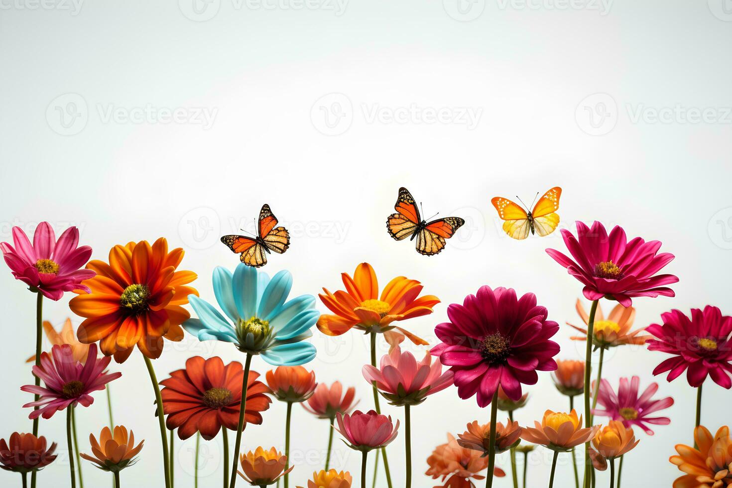 Flowers butterflies colorful white background photography 4K virtual high resolution Generative AI photo