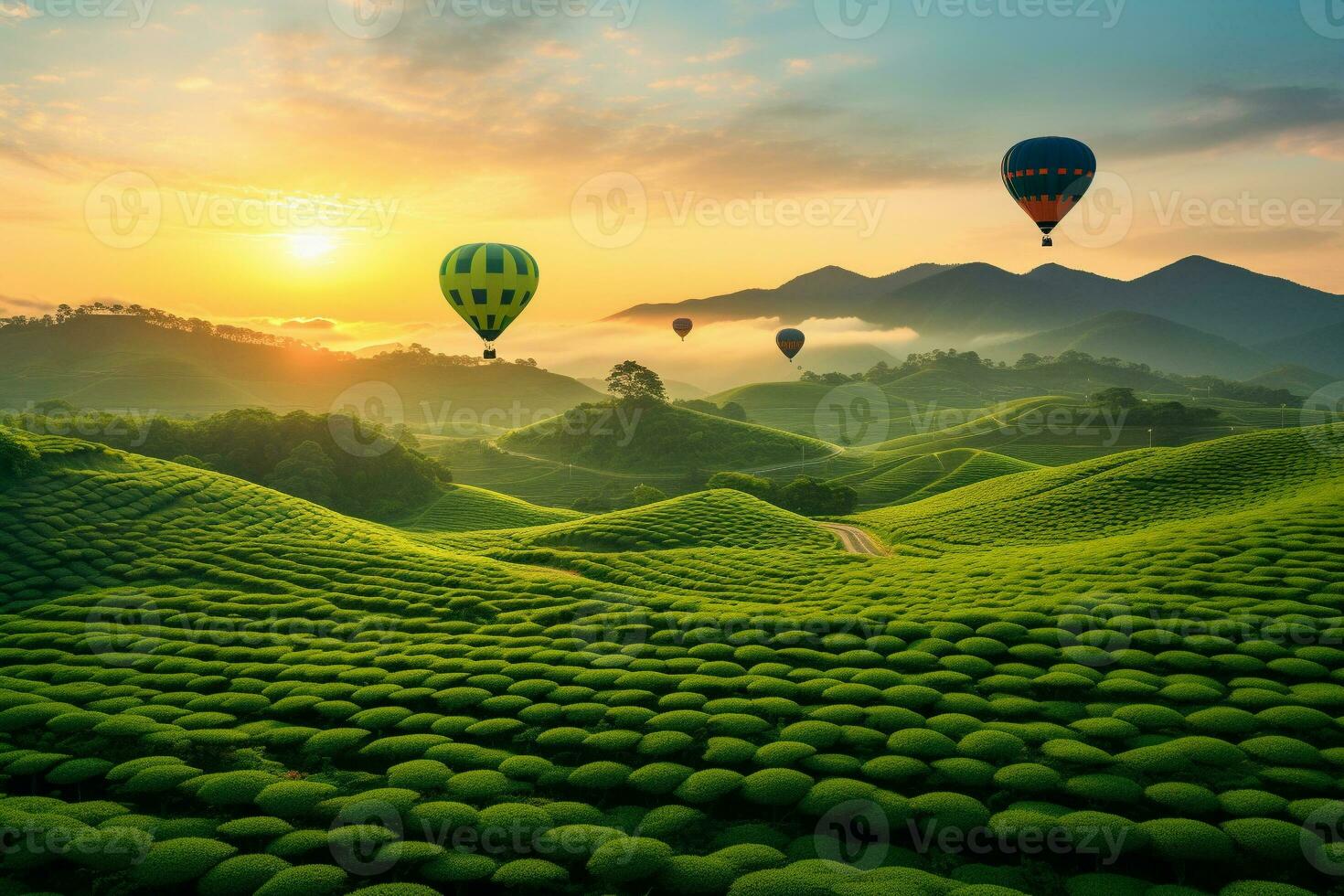 hot air balloons fly over green tea fields at sunset. generative ai photo