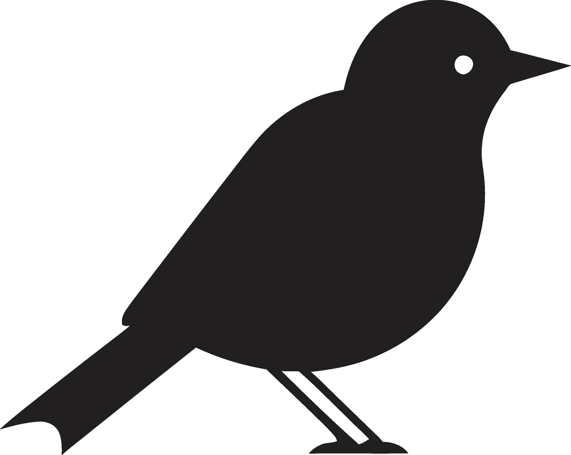 Puffin Precision Regal Peacock Logo 32834550 Vector Art at Vecteezy