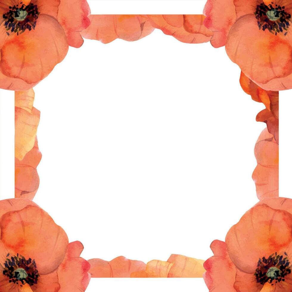 Watercolor square frame arrangement with hand drawn summer bright red poppy flowers. Isolated on white background. Design for invitations, wedding, love or greeting cards, paper, print, textile vector