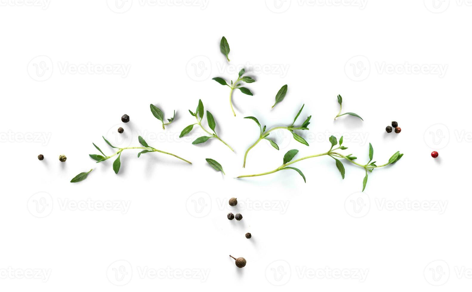 Fresh green organic thyme leaves and peper isolated on white background. Food herb Ingredient, spice for cooking. collection for design photo