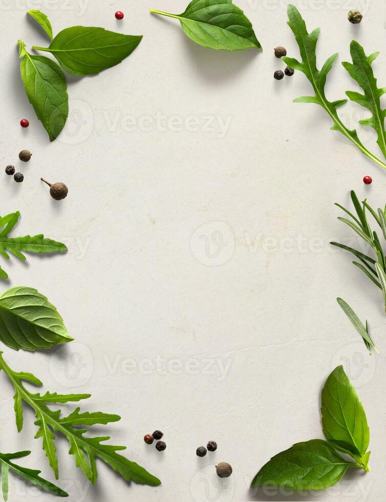 Art frame border italian cooking background, old parchment with fresh mediterranean herbs leaves, Basil rosemary arugula photo
