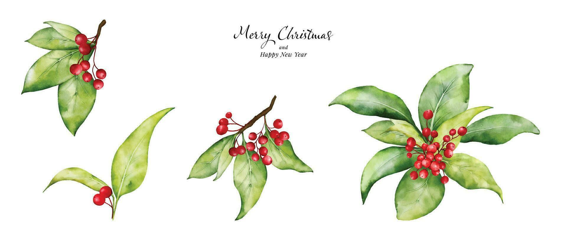 Christmas watercolor set of bouquet arrangings with berries and leaves vector