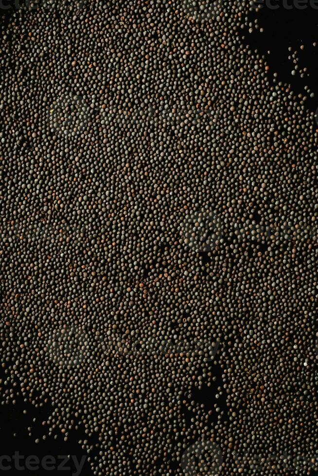 Black pepper grains on black background. Top view. Copy space. photo