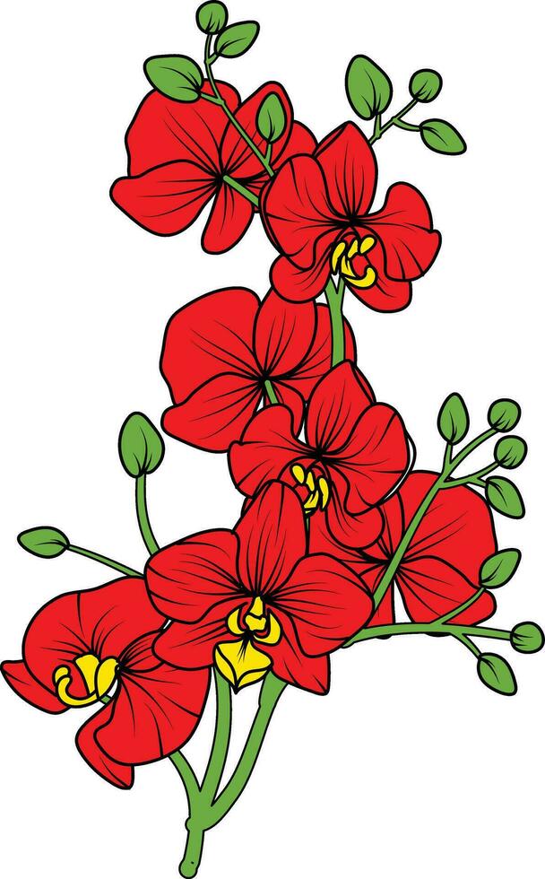 Red orchid branch vector flower, illustration of beautiful red orchid flower