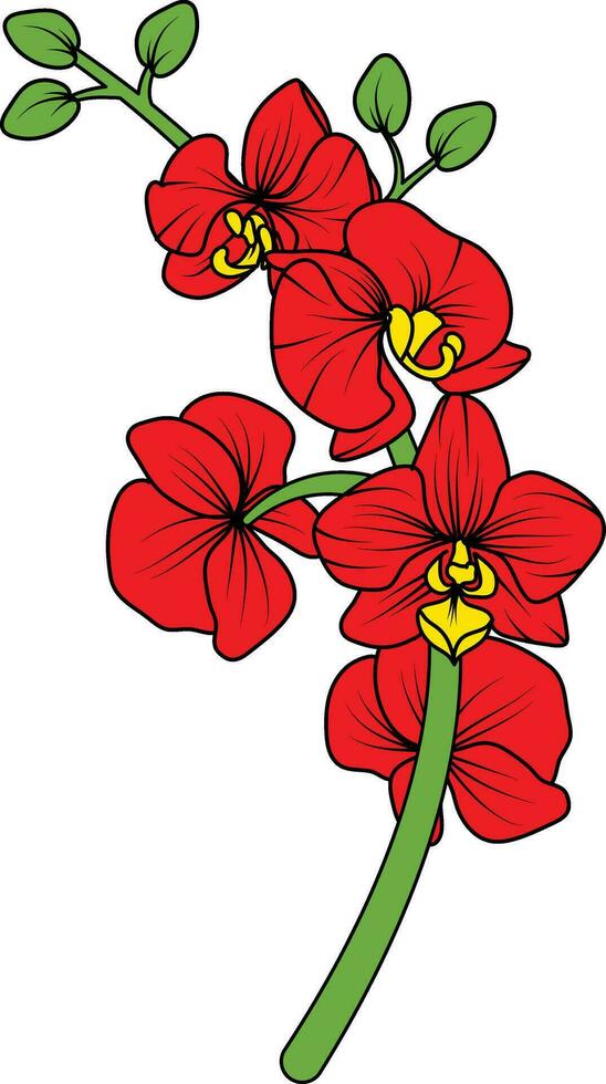 Red orchid branch vector flower, illustration of beautiful red orchid