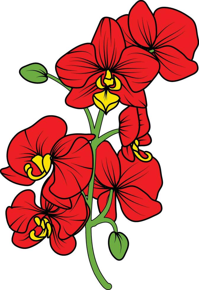 Red orchid branch vector flower, illustration of beautiful red orchid flower