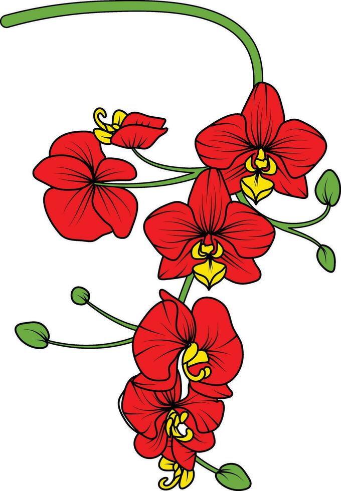 Red orchid branch vector flower, illustration of beautiful red orchid flower