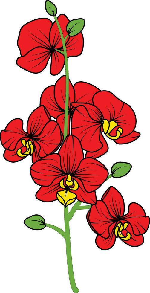 Red orchid branch vector flower, illustration of beautiful red orchid flower