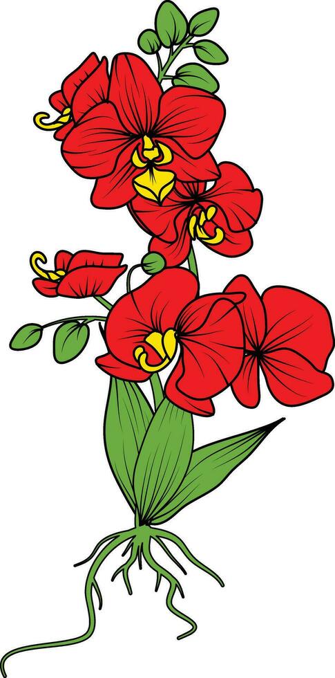 Red orchid branch vector flower, illustration of beautiful red orchid flower