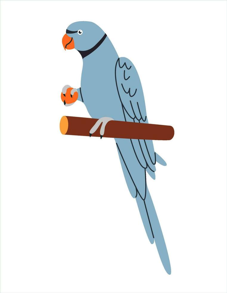 Cute ringneck parrot eating. Exotic ring-necked parakeet. Tropical jungle bird sitting on perch. Flat vector illustration isolated on white background.
