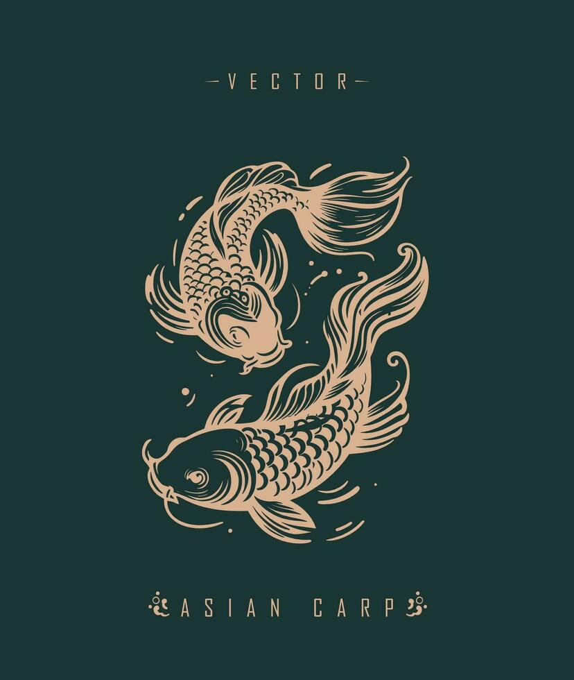 Chinese carp traditional art form vector