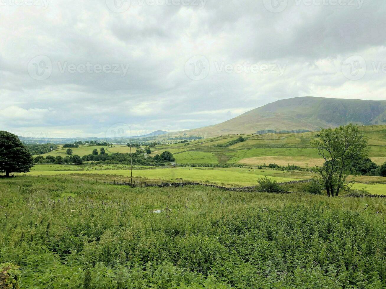 una vista del distrito de los lagos cerca de keswick foto