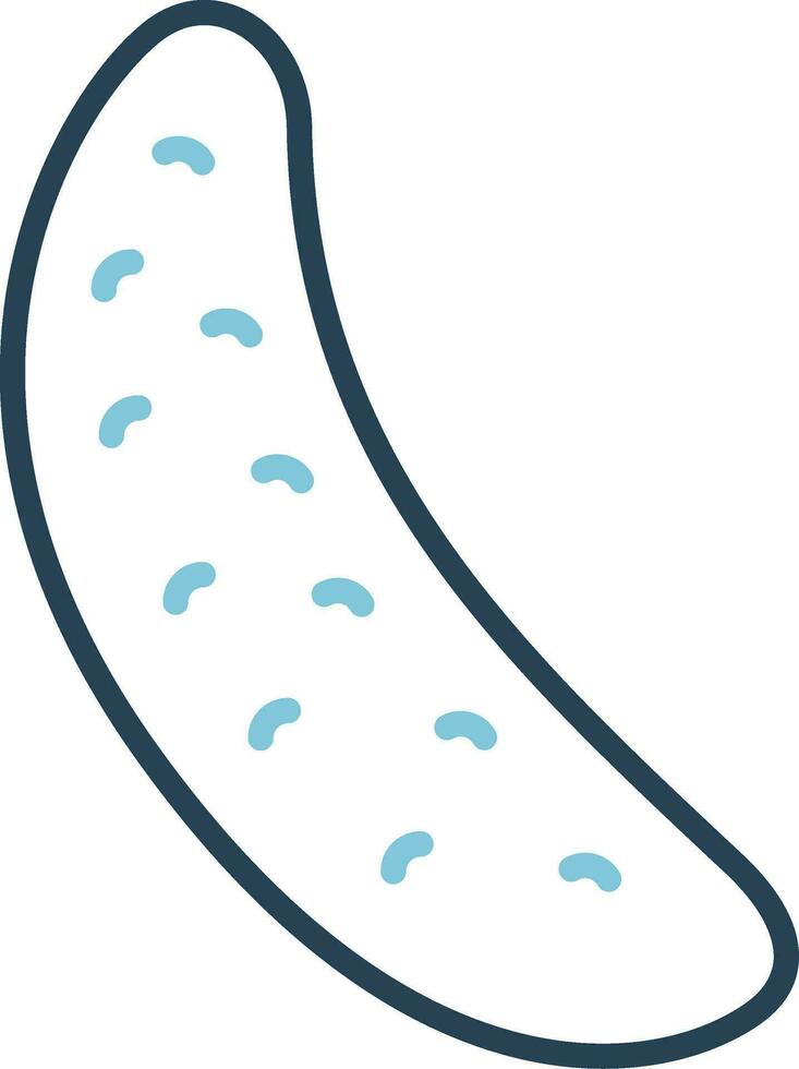 Cucumber Vector Icon
