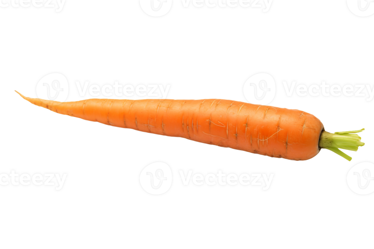 Carrot isolated on transparent background png