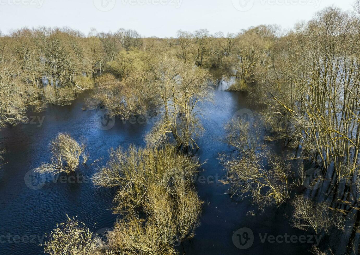 Bare trees standing in blue water against the sky in fall. View from above. Texture. Background. Photo in high quality.