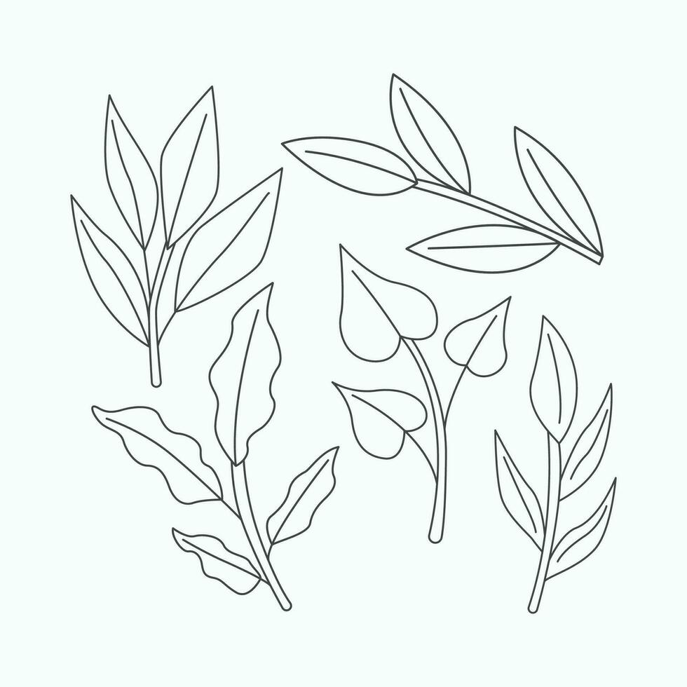 Eucalyptus leaves set. Hand drawn vector illustration.