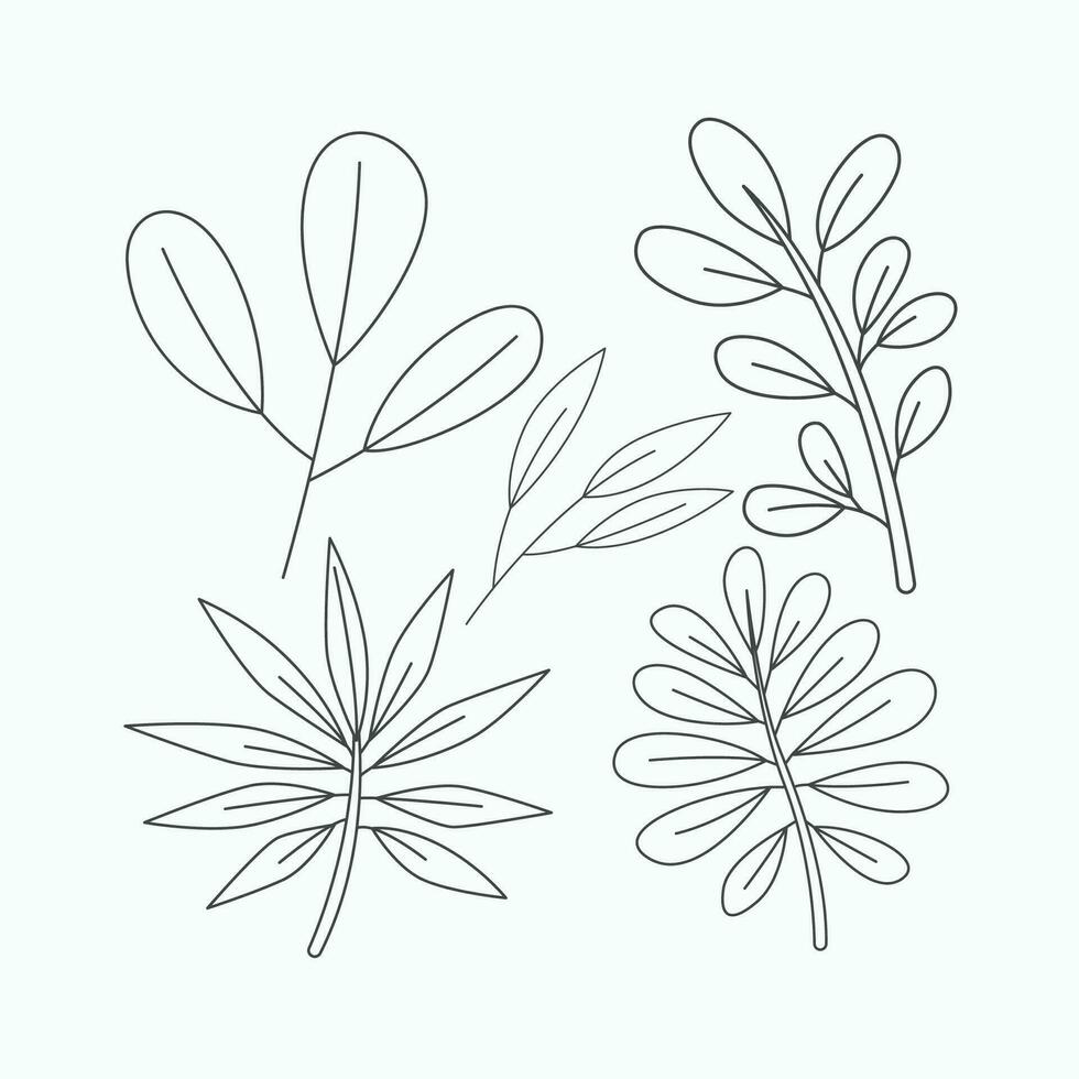 Set of leaves. Hand drawn doodle illustration. Vector. vector