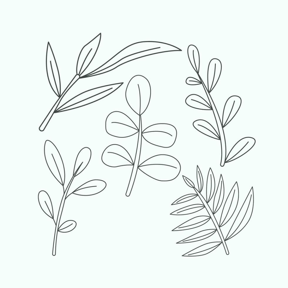 Set of eucalyptus branches and leaves. Hand drawn vector illustration.