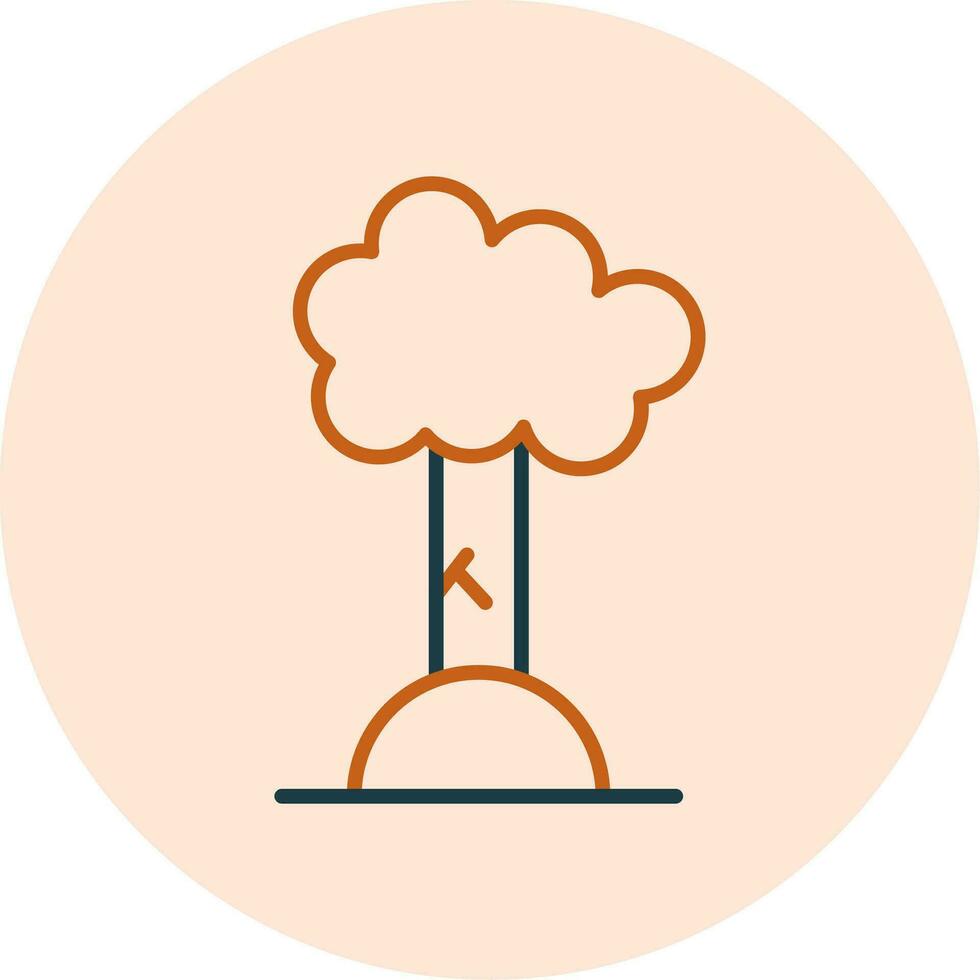 Beech Vector Icon