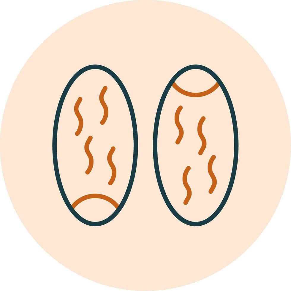 Dates Vector Icon