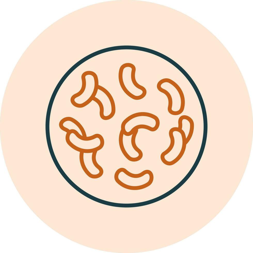Lactobacillus Vector Icon