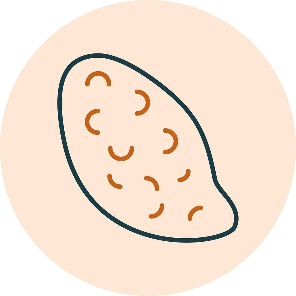 Sweet Potato Vector Icon