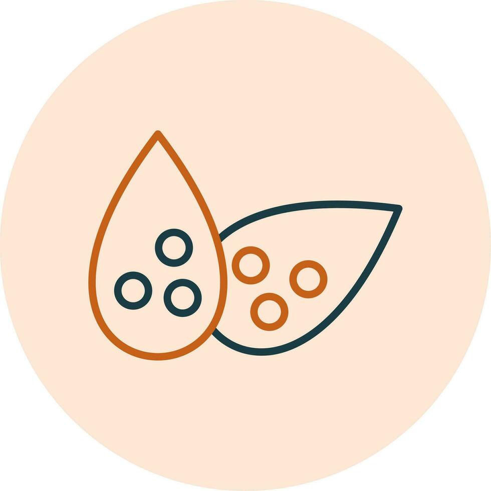 Lentils Vector Icon