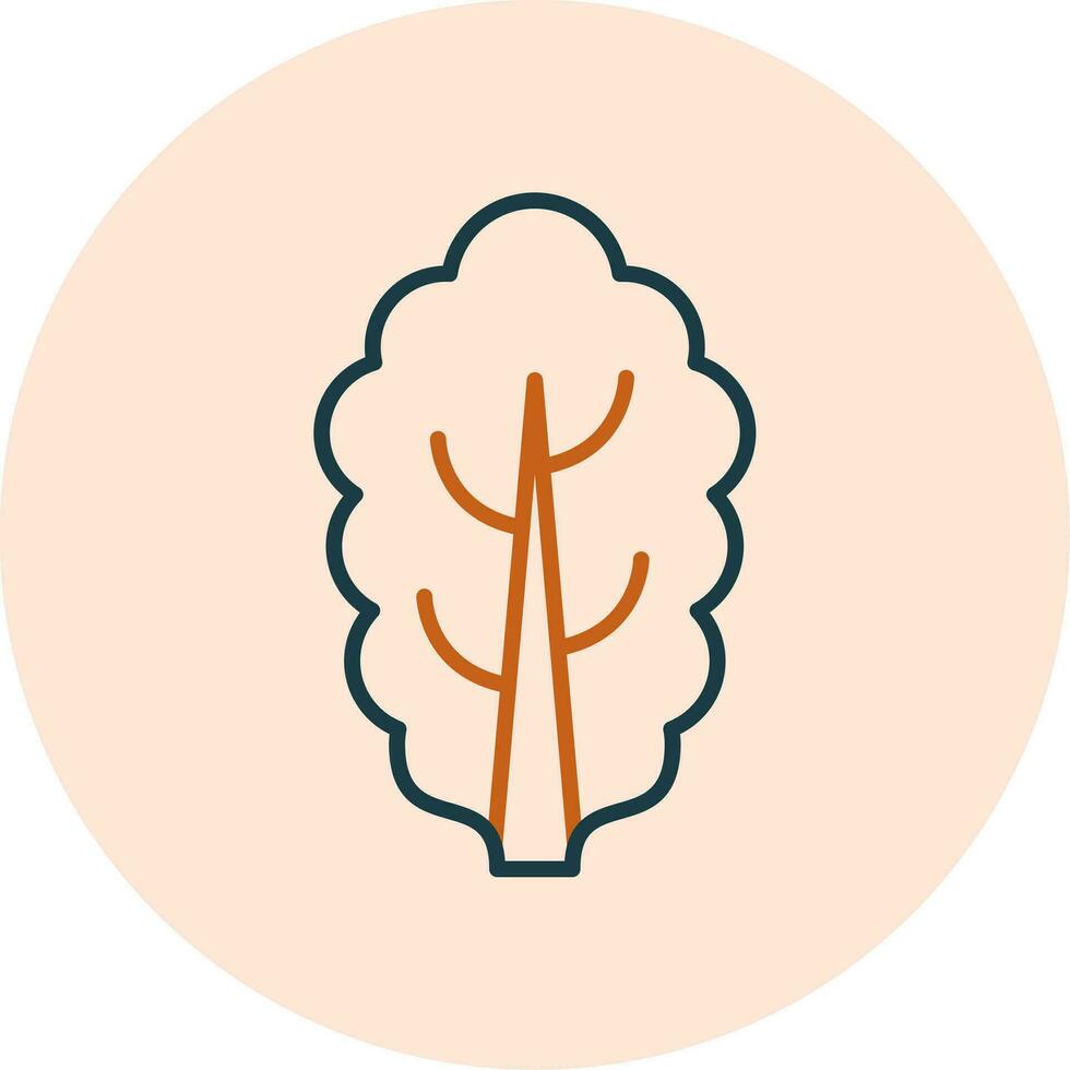 Chard Vector Icon