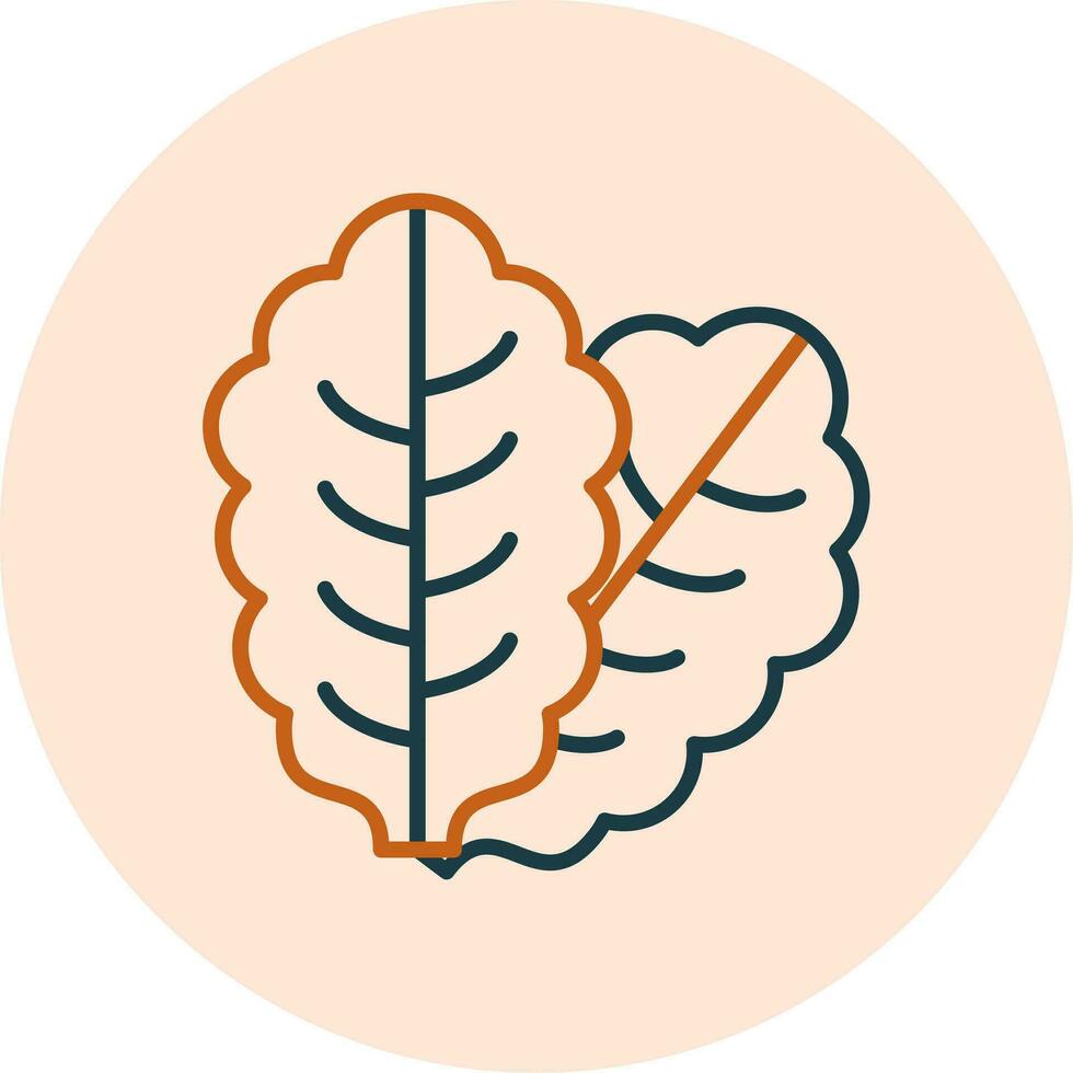 Lettuce Vector Icon