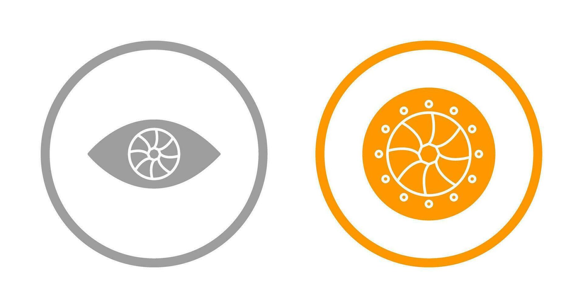 eye and optical diaphram Icon vector