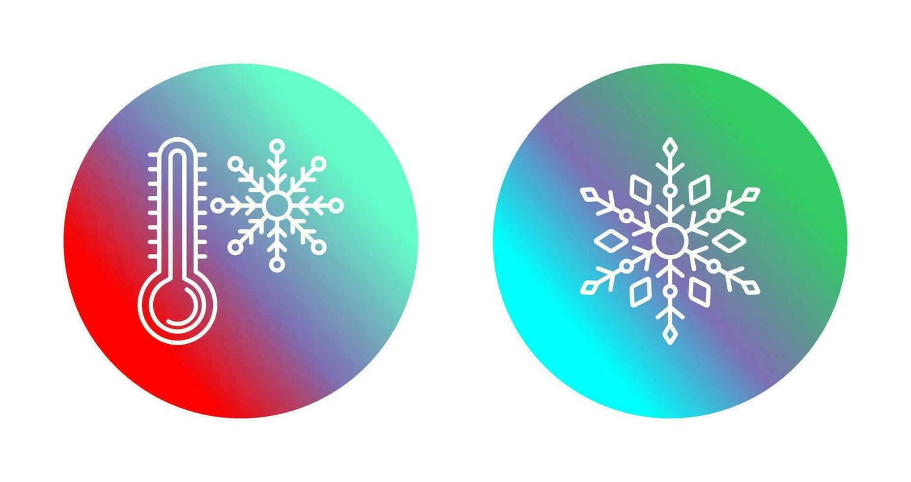 Snow Flake and Cold Icon vector