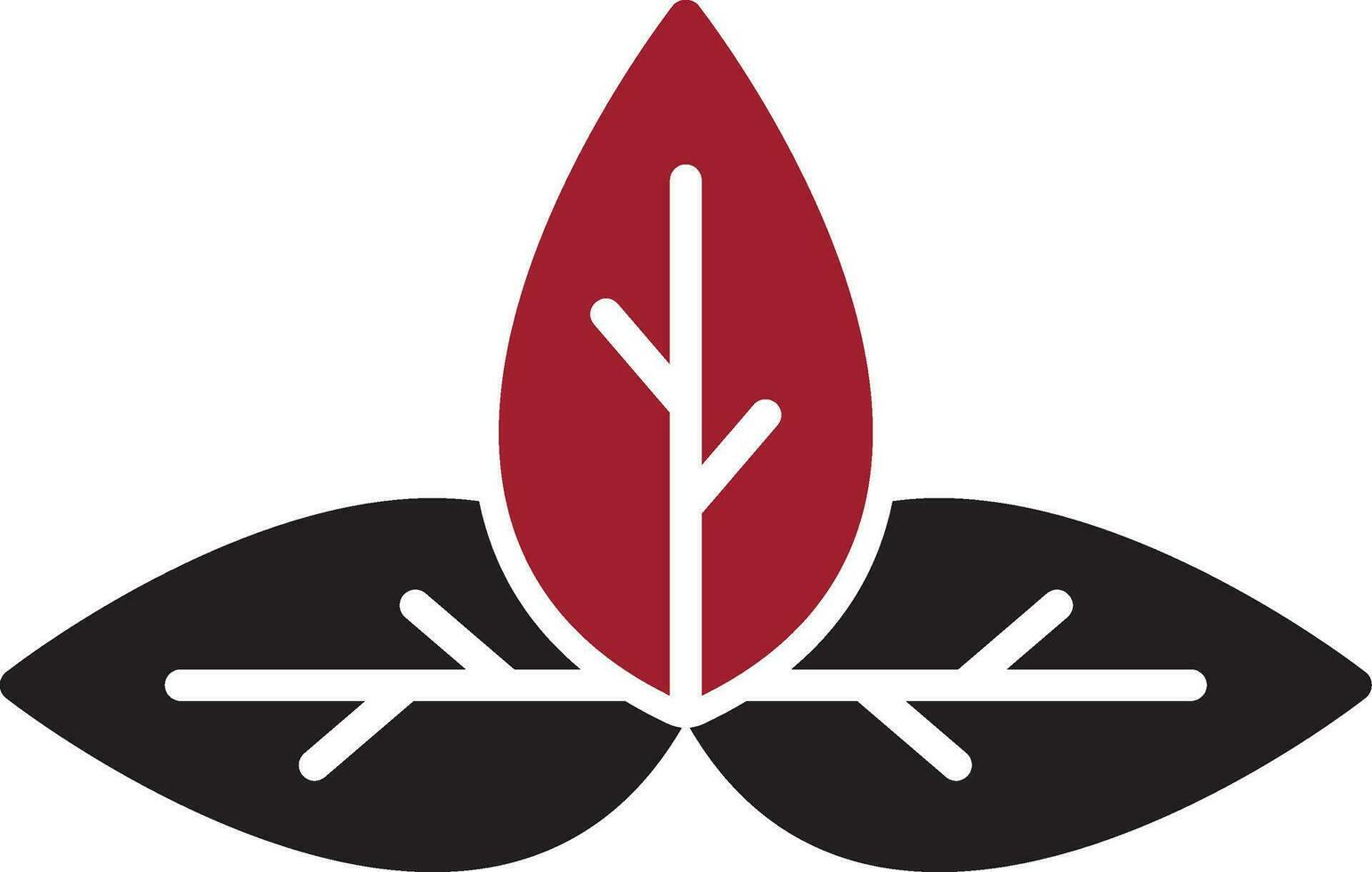 Basil Vector Icon