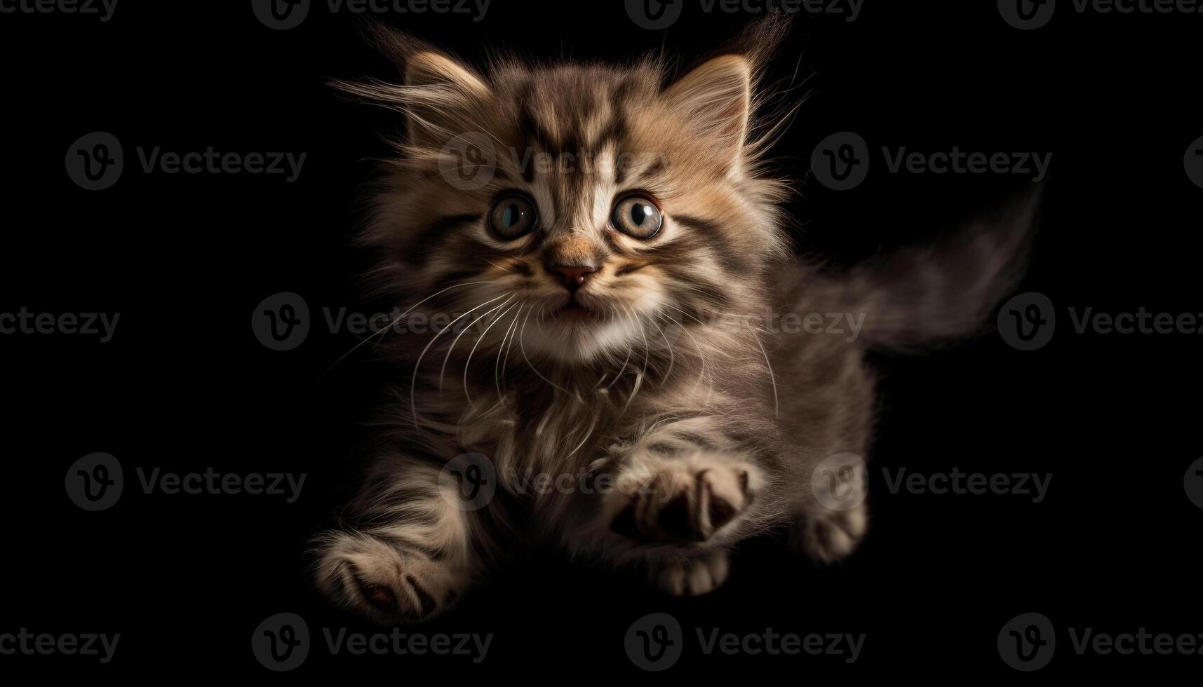 Cute kitten, small and fluffy, sitting and staring at camera generated by AI photo