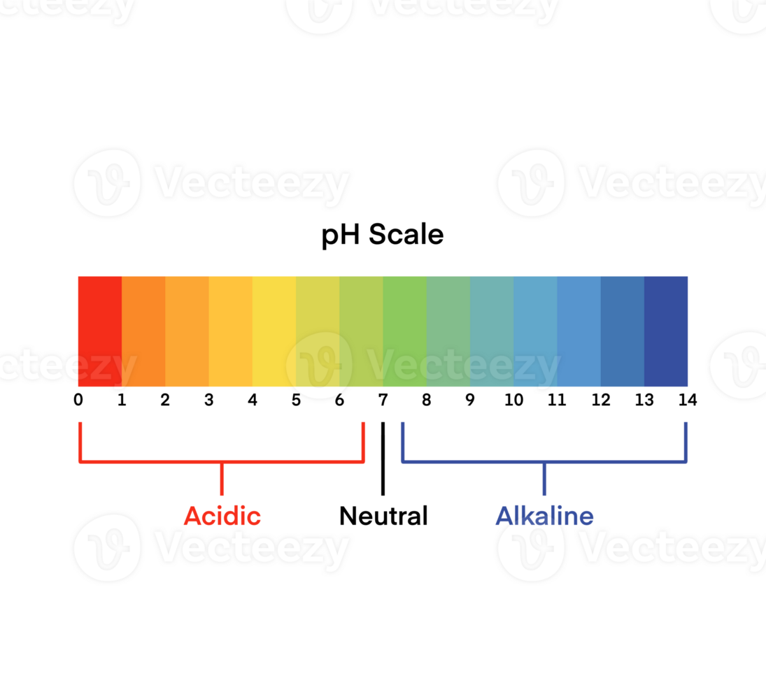 Infographic acid base balance, Indicator diagram acidic alkaline measure isolated png
