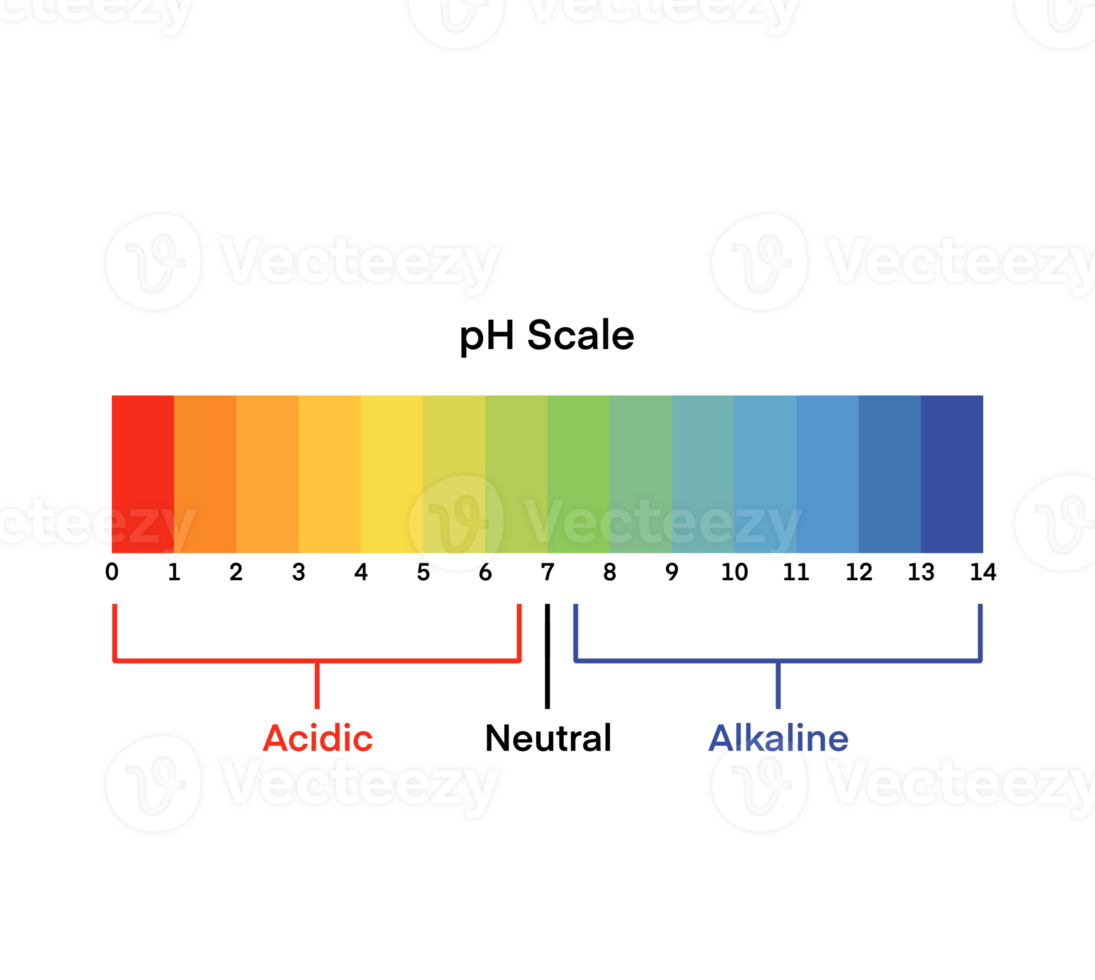 infografía ácido base balance, indicador diagrama ácido alcalino medida aislado png