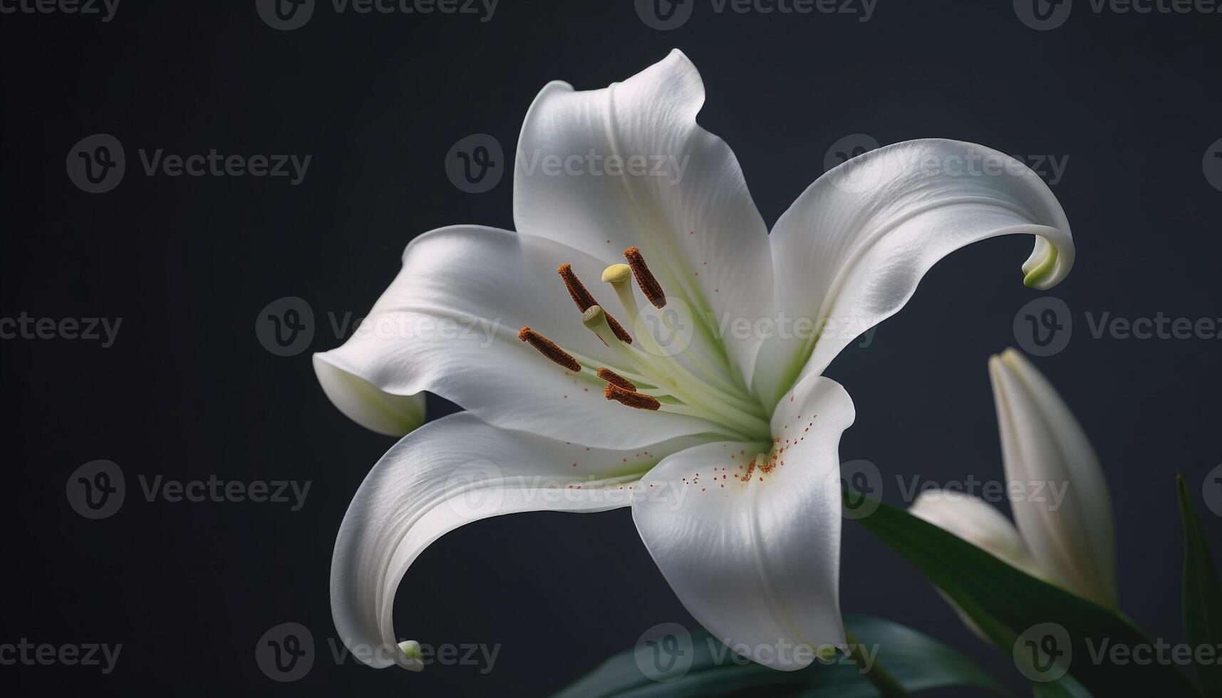 Freshness and beauty in nature a single flower elegance and fragility generated by AI photo
