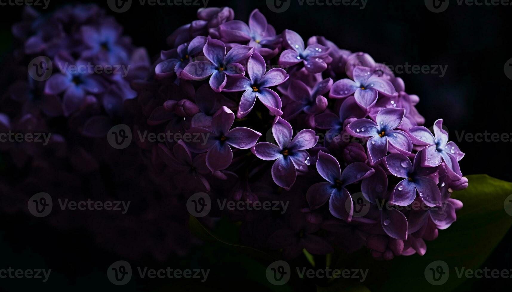 frescura y belleza en naturaleza púrpura flor cabeza, hoja, pétalo generado por ai foto