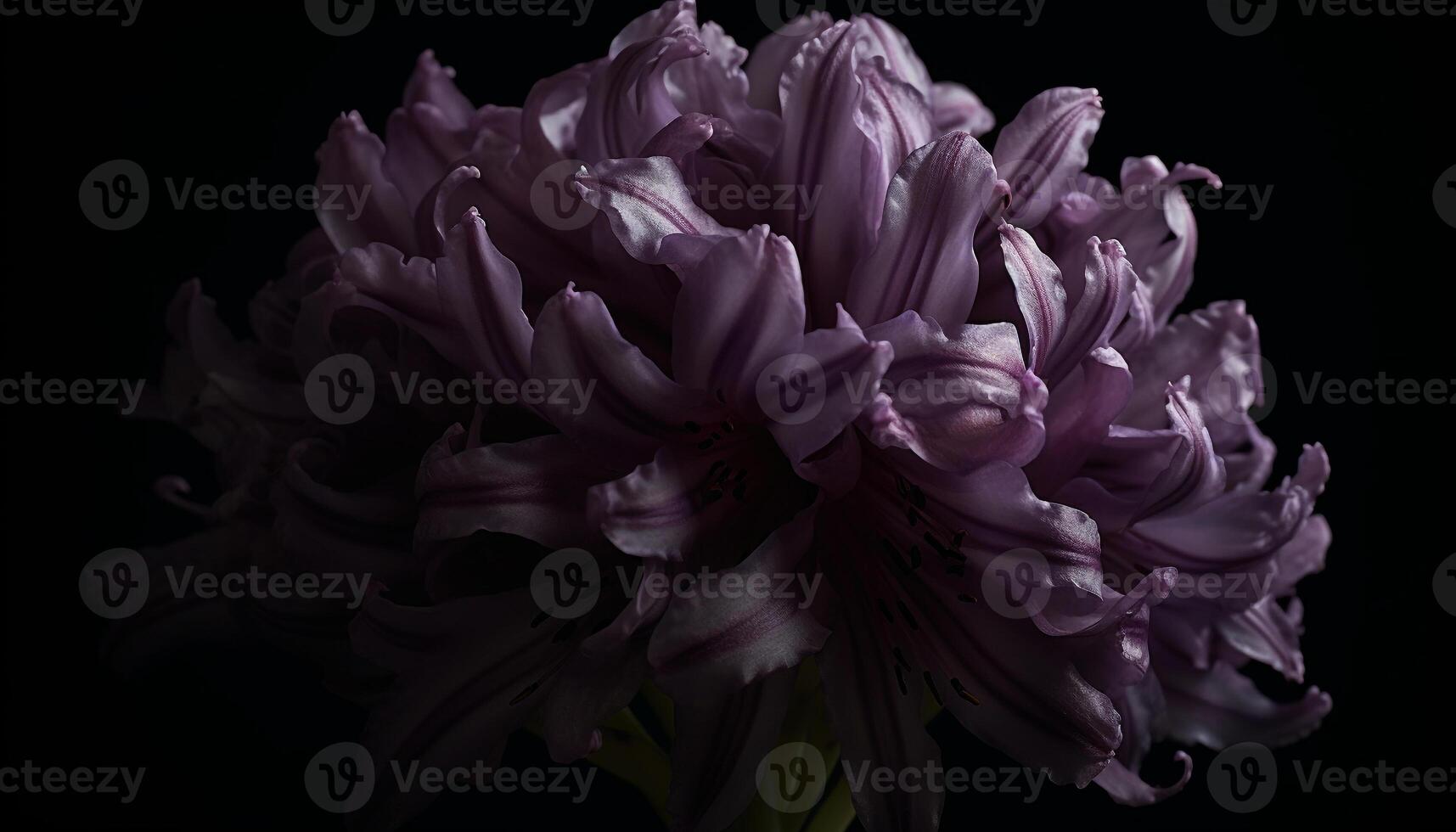 A beautiful purple flower blossoms in nature elegant bouquet generated by AI photo