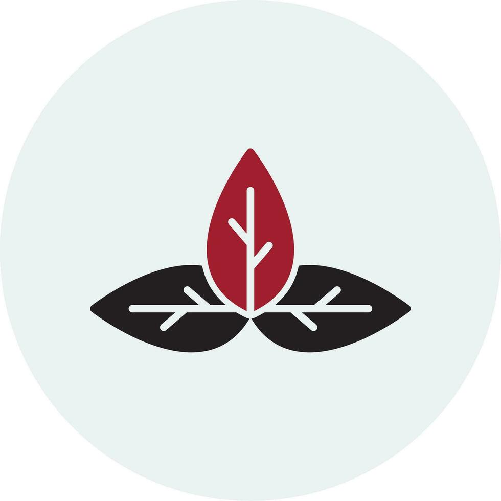 Basil Vector Icon