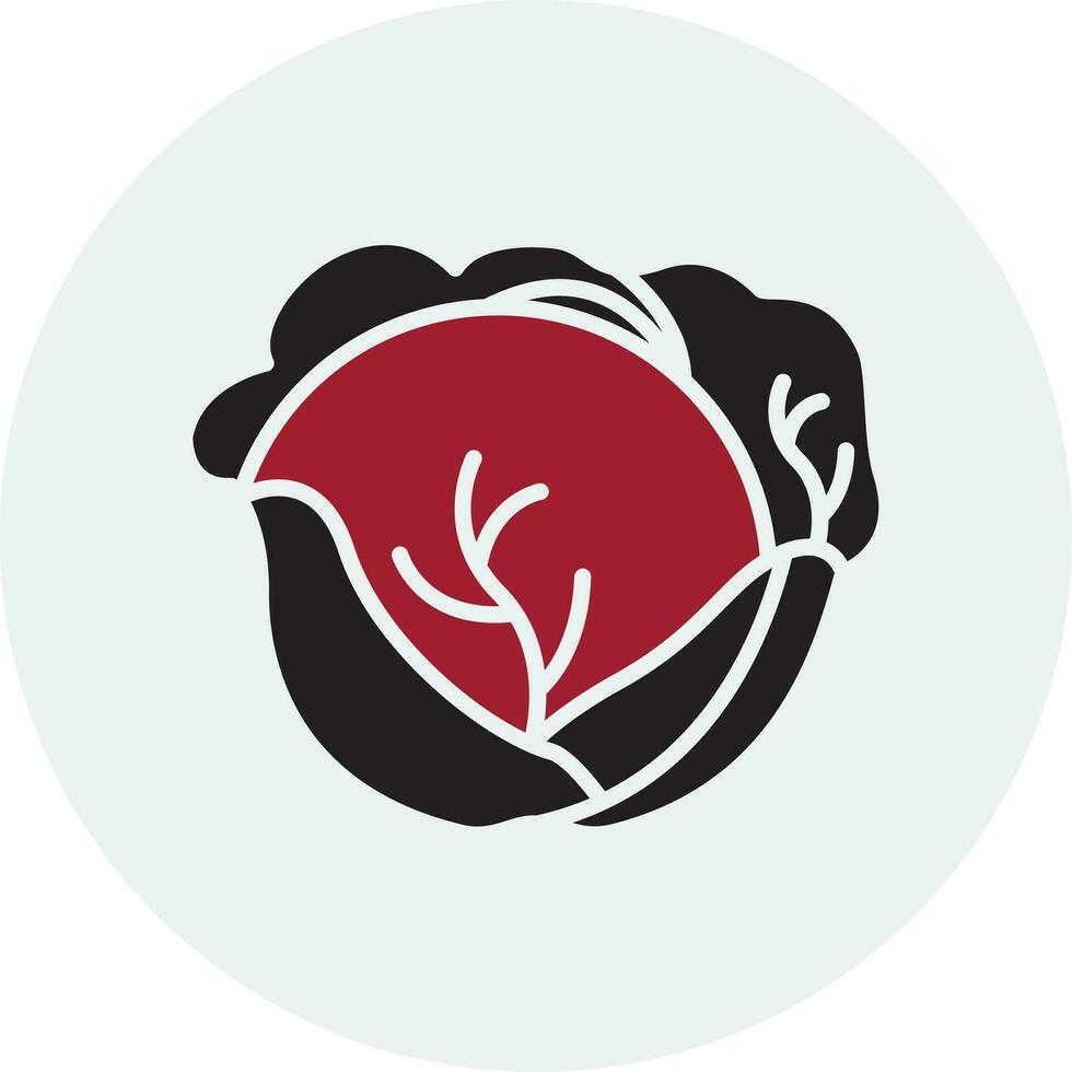 Red Cabbage Vector Icon