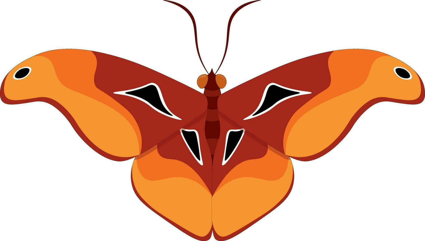 Red and orange colors butterfly vector illustration