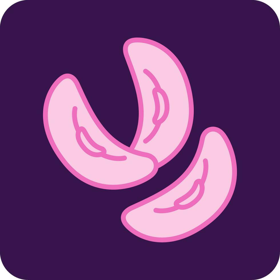 Kidney Bean Vector Icon