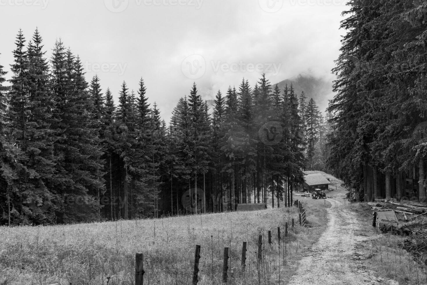 el austriaco Alpes cerca gosau foto