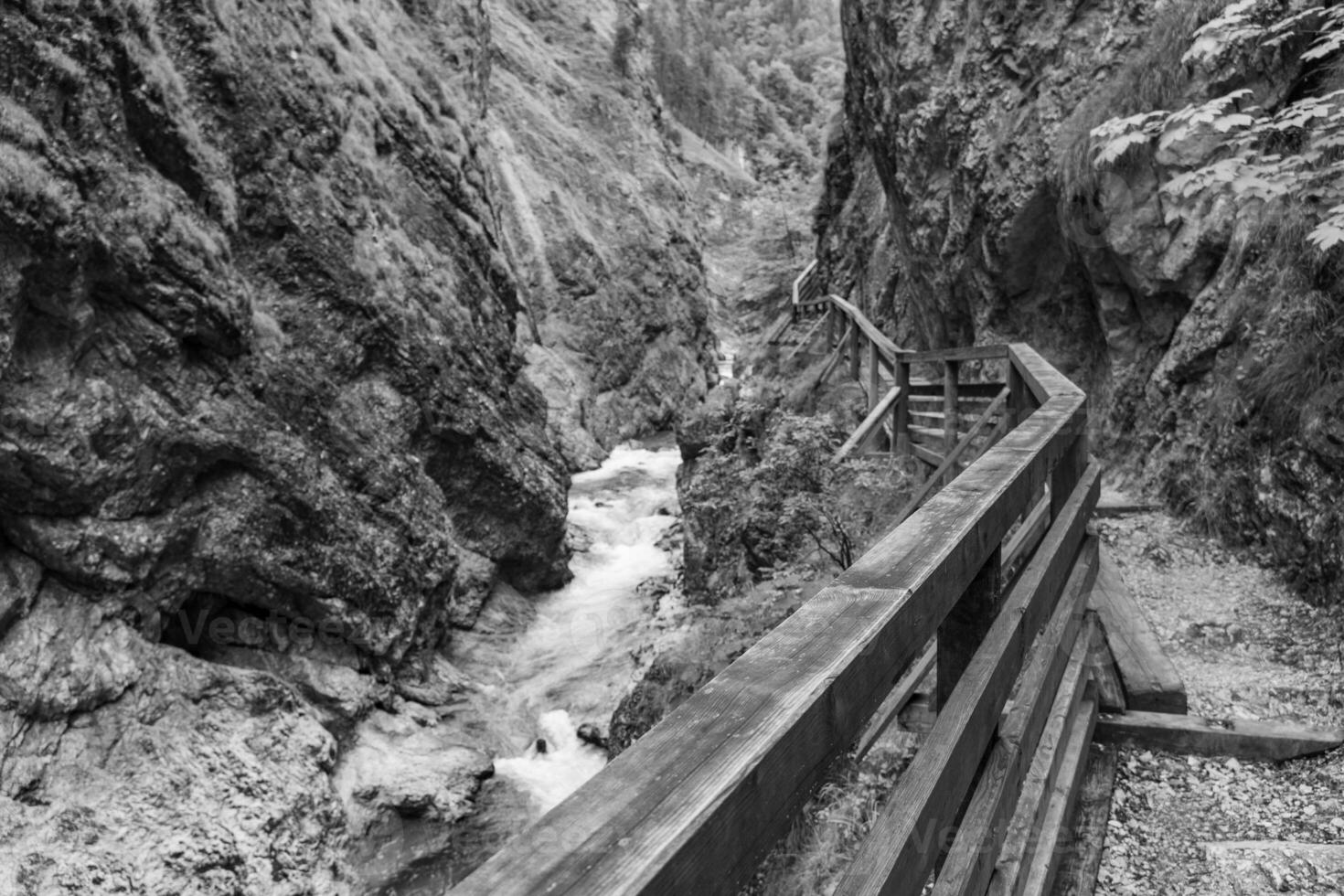 hiking nesar gosau in austria photo