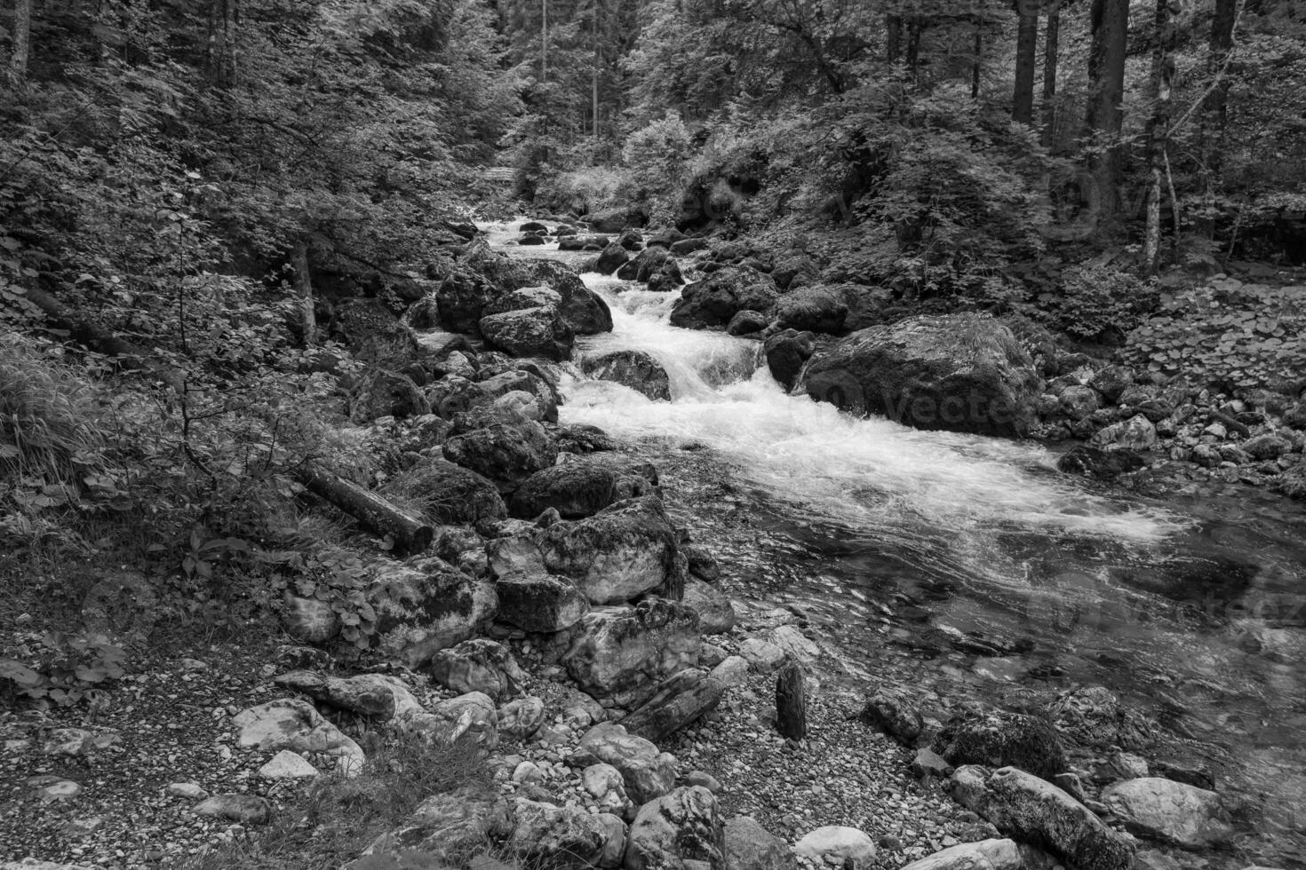 hiking nesar gosau in austria photo