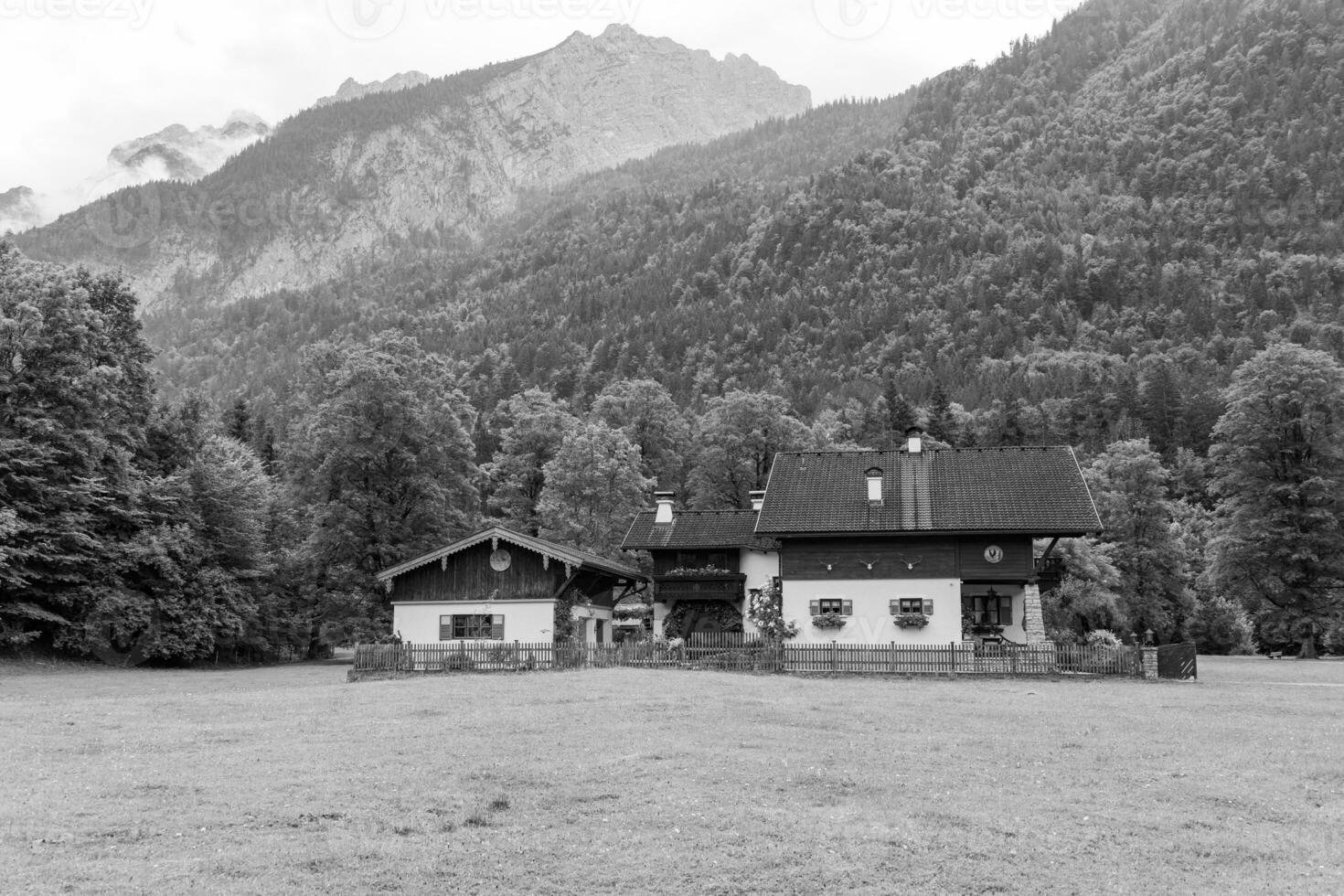 hiking nesar gosau in austria photo