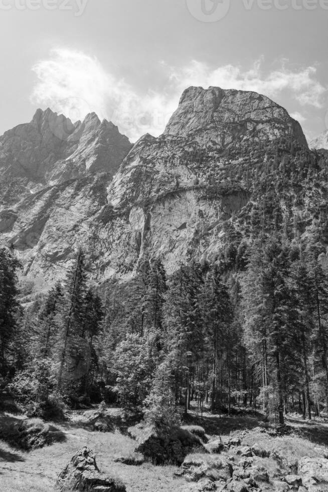 hiking near gosau in austria photo